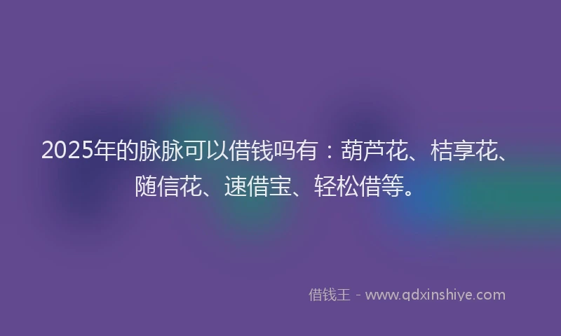 2025年的脉脉可以借钱吗有：葫芦花、桔享花、随信花、速借宝、轻松借等。