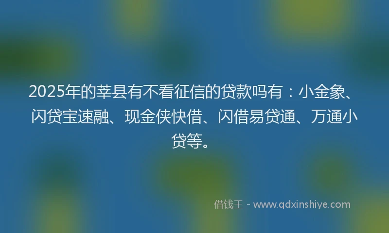 2025年的莘县有不看征信的贷款吗有：小金象、闪贷宝速融、现金侠快借、闪借易贷通、万通小贷等。