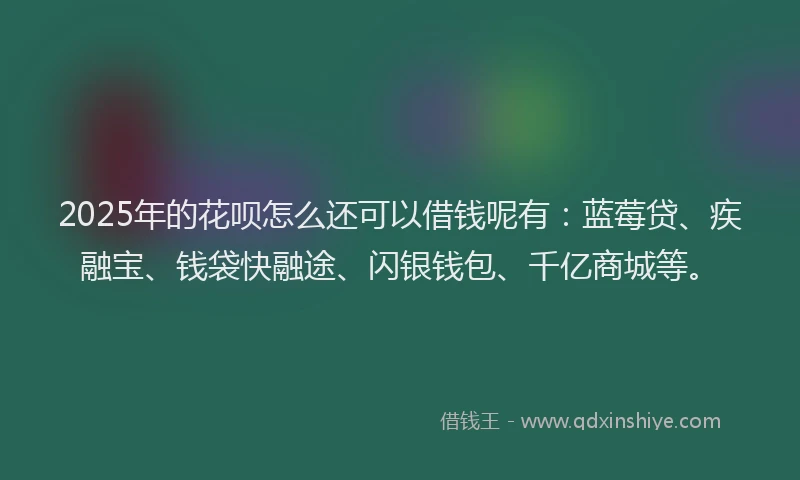2025年的花呗怎么还可以借钱呢有：蓝莓贷、疾融宝、钱袋快融途、闪银钱包、千亿商城等。