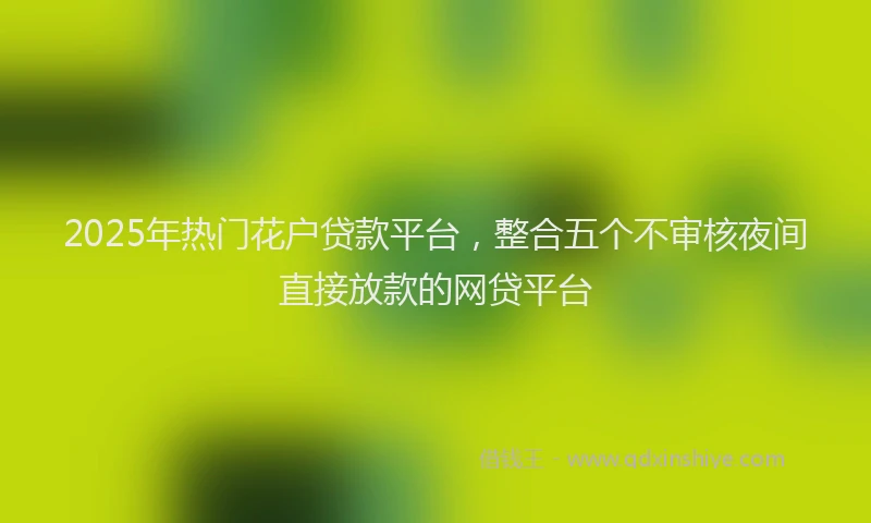 2025年热门花户贷款平台，整合五个不审核夜间直接放款的网贷平台