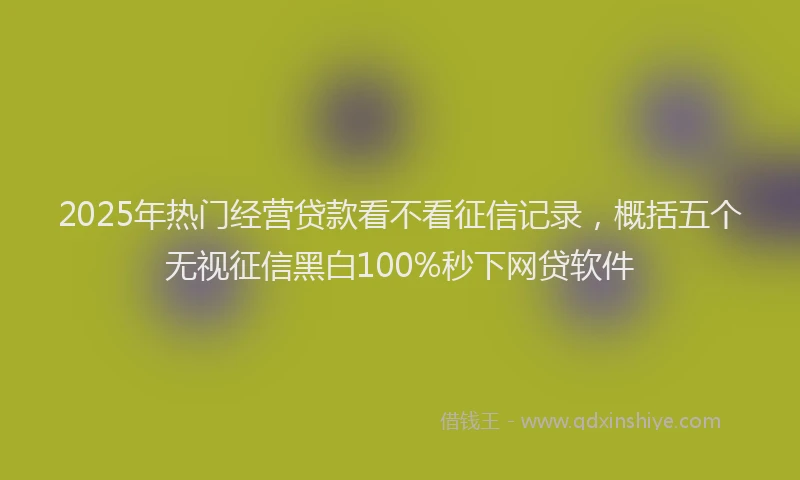 2025年热门经营贷款看不看征信记录，概括五个无视征信黑白100%秒下网贷软件