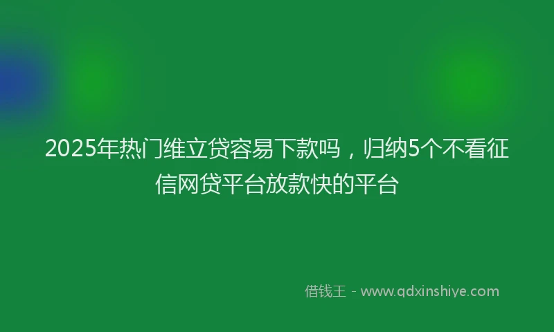 2025年热门维立贷容易下款吗，归纳5个不看征信网贷平台放款快的平台