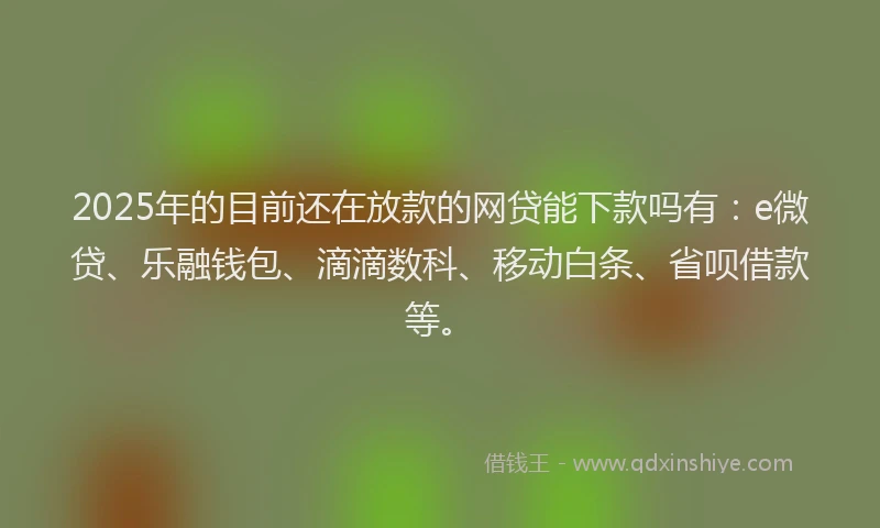 2025年的目前还在放款的网贷能下款吗有：e微贷、乐融钱包、滴滴数科、移动白条、省呗借款等。