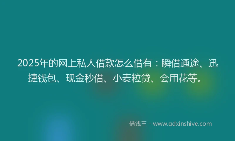 2025年的网上私人借款怎么借有：瞬借通途、迅捷钱包、现金秒借、小麦粒贷、会用花等。