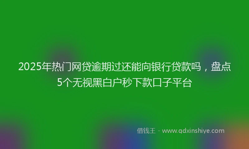 2025年热门网贷逾期过还能向银行贷款吗，盘点5个无视黑白户秒下款口子平台