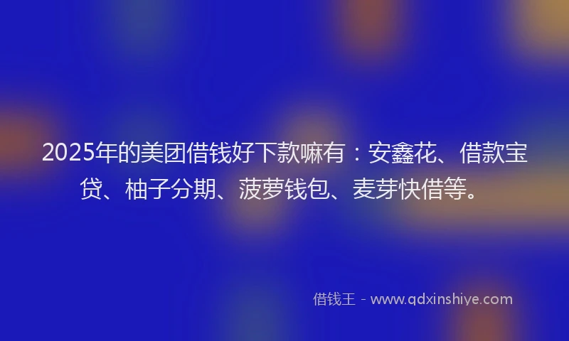 2025年的美团借钱好下款嘛有：安鑫花、借款宝贷、柚子分期、菠萝钱包、麦芽快借等。
