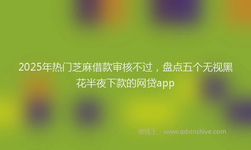 2025年热门芝麻借款审核不过，盘点五个无视黑花半夜下款的网贷app