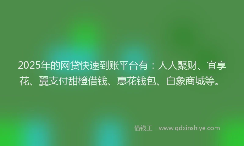 2025年的网贷快速到账平台有：人人聚财、宜享花、翼支付甜橙借钱、惠花钱包、白象商城等。