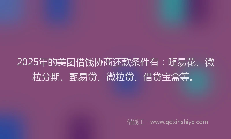 2025年的美团借钱协商还款条件有：随易花、微粒分期、甄易贷、微粒贷、借贷宝盒等。