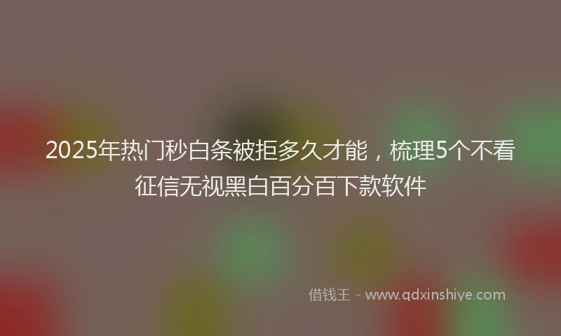 2025年热门秒白条被拒多久才能，梳理5个不看征信无视黑白百分百下款软件