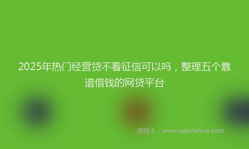 2025年热门经营贷不看征信可以吗，整理五个靠谱借钱的网贷平台