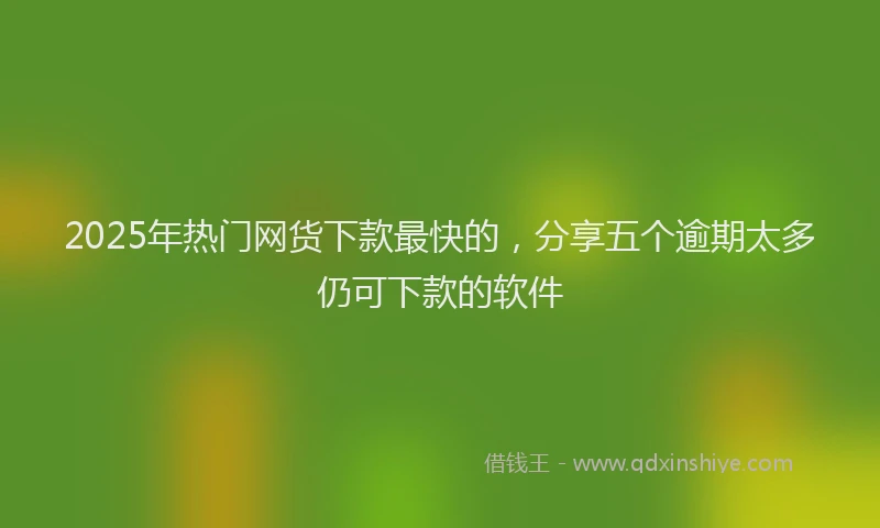 2025年热门网货下款最快的，分享五个逾期太多仍可下款的软件