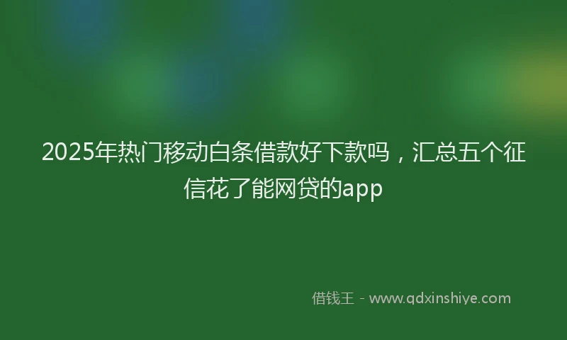2025年热门移动白条借款好下款吗，汇总五个征信花了能网贷的app
