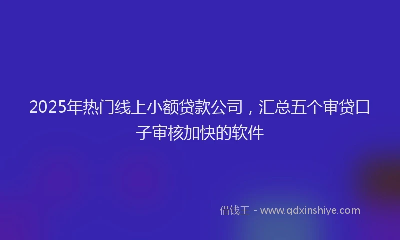 2025年热门线上小额贷款公司，汇总五个审贷口子审核加快的软件