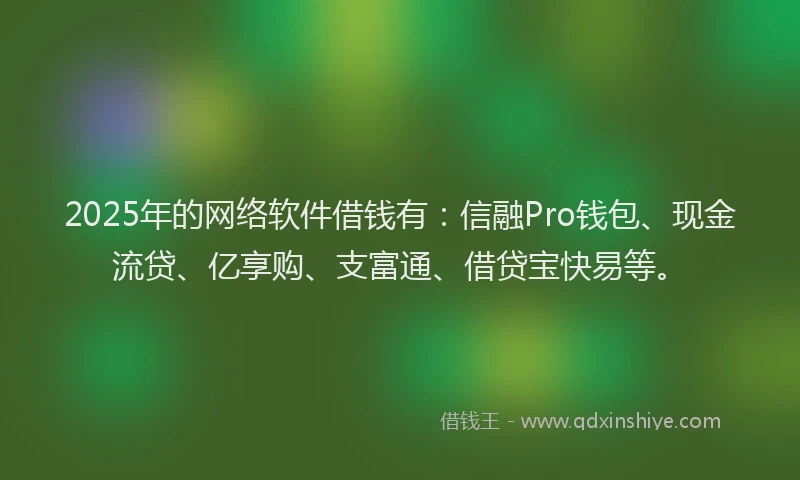 2025年的网络软件借钱有：信融Pro钱包、现金流贷、亿享购、支富通、借贷宝快易等。