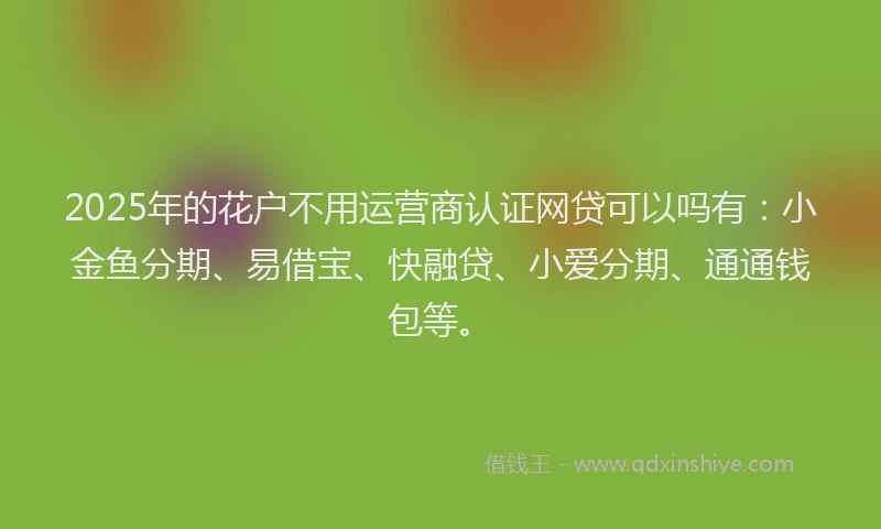 2025年的花户不用运营商认证网贷可以吗有：小金鱼分期、易借宝、快融贷、小爱分期、通通钱包等。