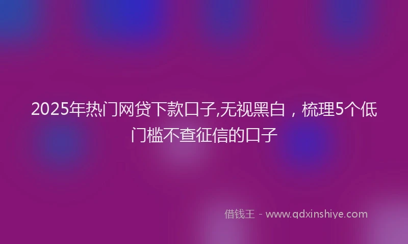 2025年热门网贷下款口子,无视黑白，梳理5个低门槛不查征信的口子