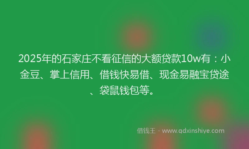 2025年的石家庄不看征信的大额贷款10w有：小金豆、掌上信用、借钱快易借、现金易融宝贷途、袋鼠钱包等。