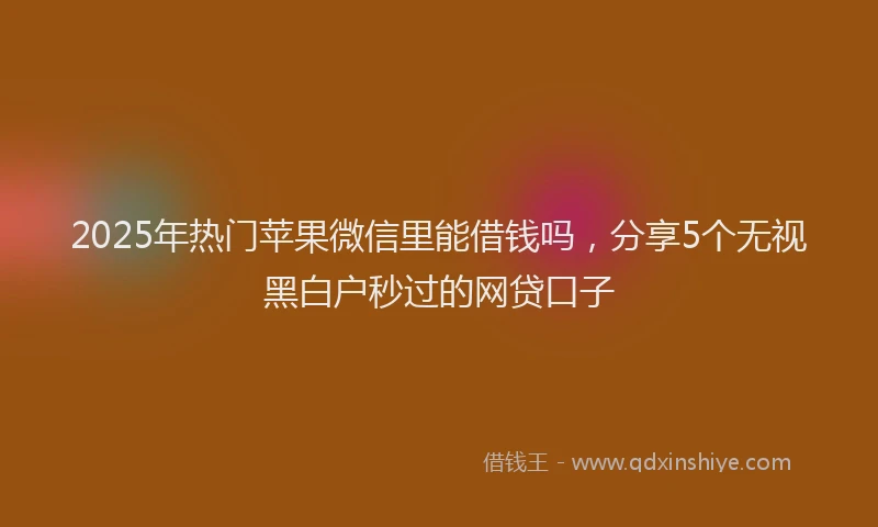 2025年热门苹果微信里能借钱吗，分享5个无视黑白户秒过的网贷口子