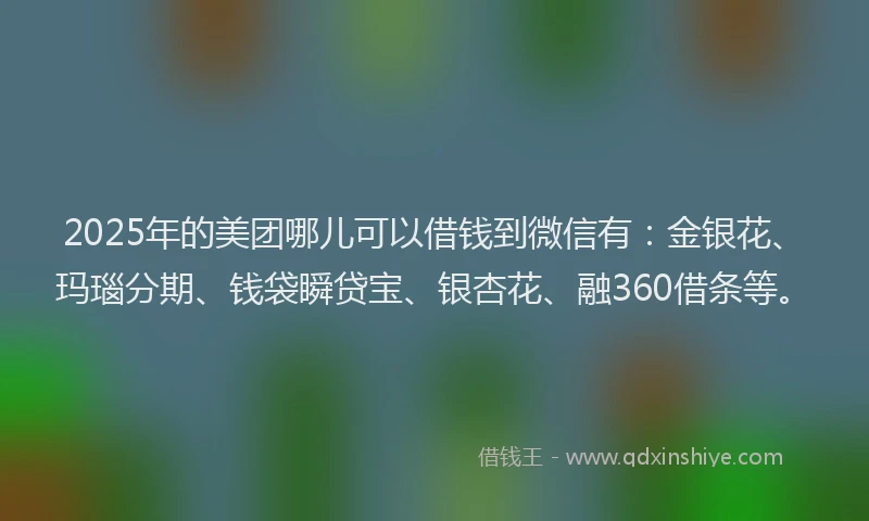 2025年的美团哪儿可以借钱到微信有：金银花、玛瑙分期、钱袋瞬贷宝、银杏花、融360借条等。