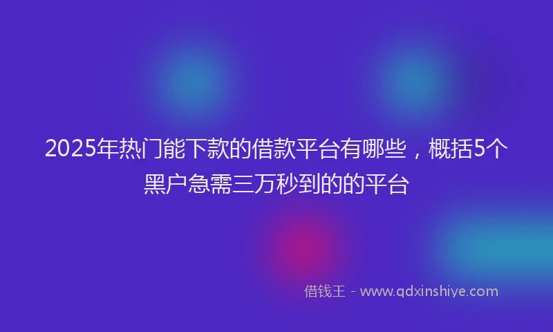 2025年热门能下款的借款平台有哪些，概括5个黑户急需三万秒到的的平台