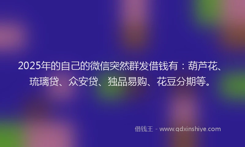 2025年的自己的微信突然群发借钱有：葫芦花、琉璃贷、众安贷、独品易购、花豆分期等。