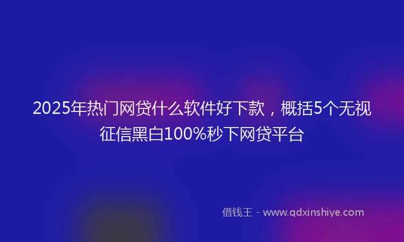 2025年热门网贷什么软件好下款，概括5个无视征信黑白100%秒下网贷平台
