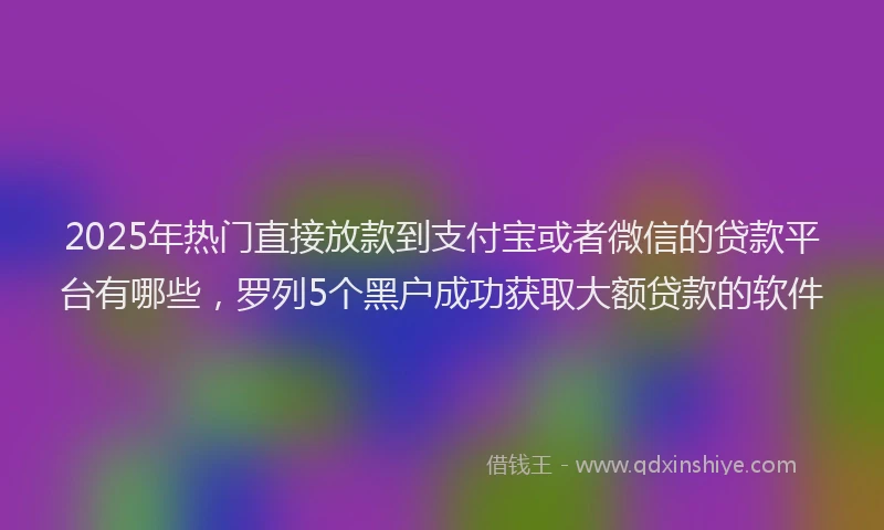 2025年热门直接放款到支付宝或者微信的贷款平台有哪些，罗列5个黑户成功获取大额贷款的软件