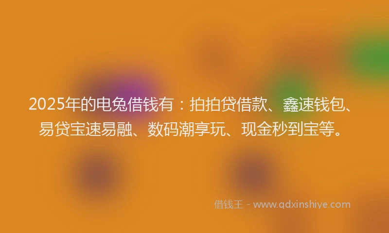 2025年的电兔借钱有：拍拍贷借款、鑫速钱包、易贷宝速易融、数码潮享玩、现金秒到宝等。