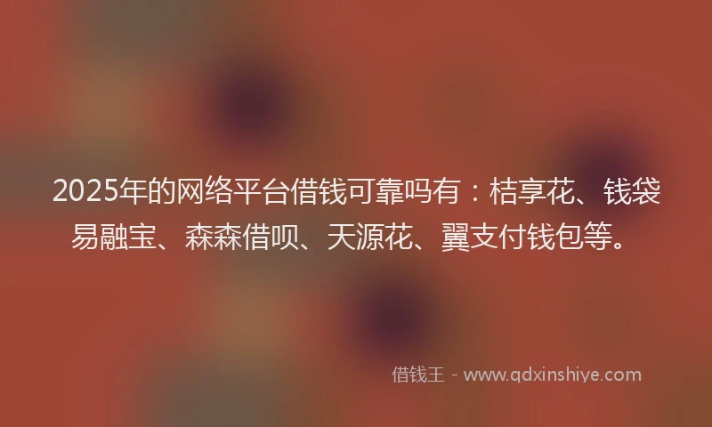 2025年的网络平台借钱可靠吗有：桔享花、钱袋易融宝、森森借呗、天源花、翼支付钱包等。