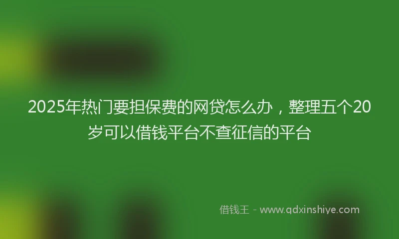 2025年热门要担保费的网贷怎么办，整理五个20岁可以借钱平台不查征信的平台