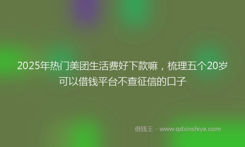 2025年热门美团生活费好下款嘛，梳理五个20岁可以借钱平台不查征信的口子