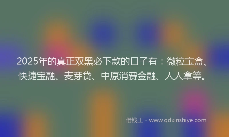 2025年的真正双黑必下款的口子有：微粒宝盒、快捷宝融、麦芽贷、中原消费金融、人人拿等。