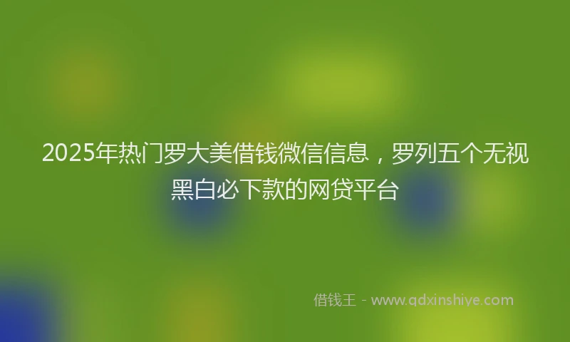 2025年热门罗大美借钱微信信息，罗列五个无视黑白必下款的网贷平台