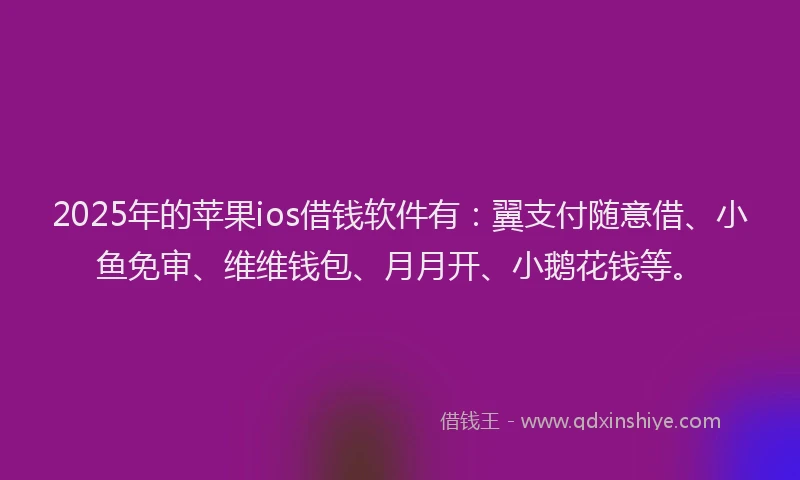 2025年的苹果ios借钱软件有：翼支付随意借、小鱼免审、维维钱包、月月开、小鹅花钱等。