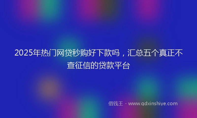 2025年热门网贷秒购好下款吗，汇总五个真正不查征信的贷款平台