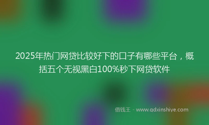 2025年热门网贷比较好下的口子有哪些平台，概括五个无视黑白100%秒下网贷软件