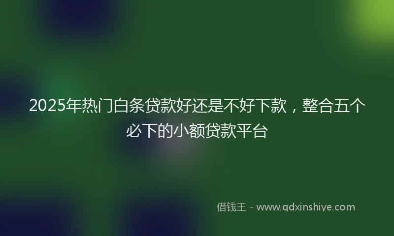 2025年热门白条贷款好还是不好下款，整合五个必下的小额贷款平台