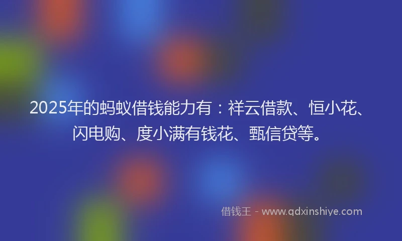 2025年的蚂蚁借钱能力有：祥云借款、恒小花、闪电购、度小满有钱花、甄信贷等。