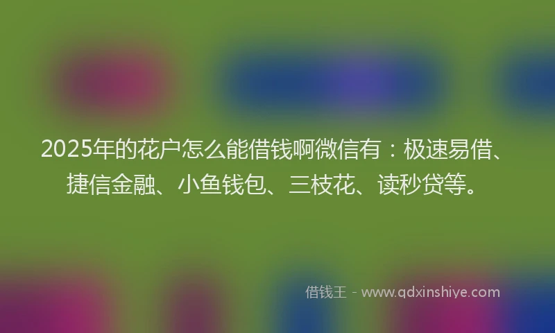 2025年的花户怎么能借钱啊微信有：极速易借、捷信金融、小鱼钱包、三枝花、读秒贷等。