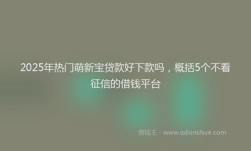 2025年热门萌新宝贷款好下款吗，概括5个不看征信的借钱平台