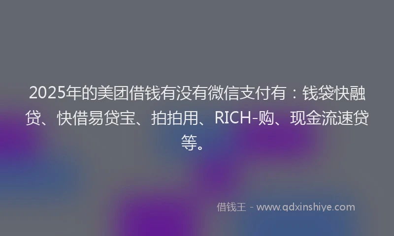 2025年的美团借钱有没有微信支付有：钱袋快融贷、快借易贷宝、拍拍用、RICH-购、现金流速贷等。