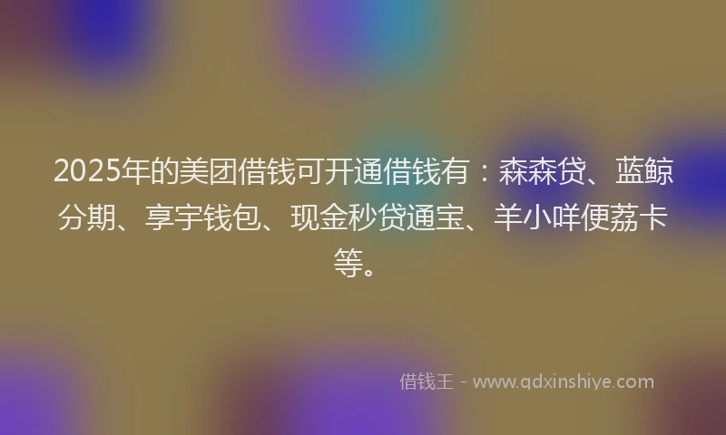 2025年的美团借钱可开通借钱有：森森贷、蓝鲸分期、享宇钱包、现金秒贷通宝、羊小咩便荔卡等。