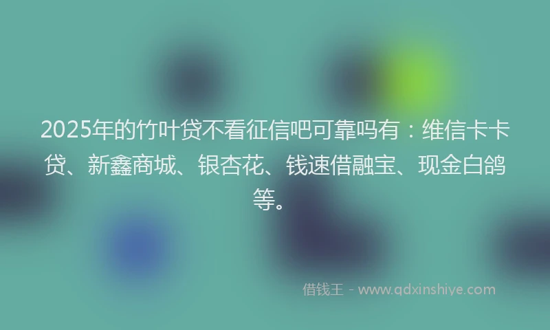 2025年的竹叶贷不看征信吧可靠吗有：维信卡卡贷、新鑫商城、银杏花、钱速借融宝、现金白鸽等。