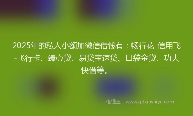 2025年的私人小额加微信借钱有：畅行花-信用飞-飞行卡、臻心贷、易贷宝速贷、口袋金贷、功夫快借等。