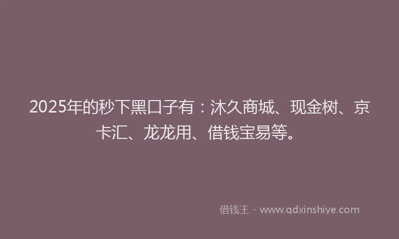 2025年的秒下黑口子有：沐久商城、现金树、京卡汇、龙龙用、借钱宝易等。