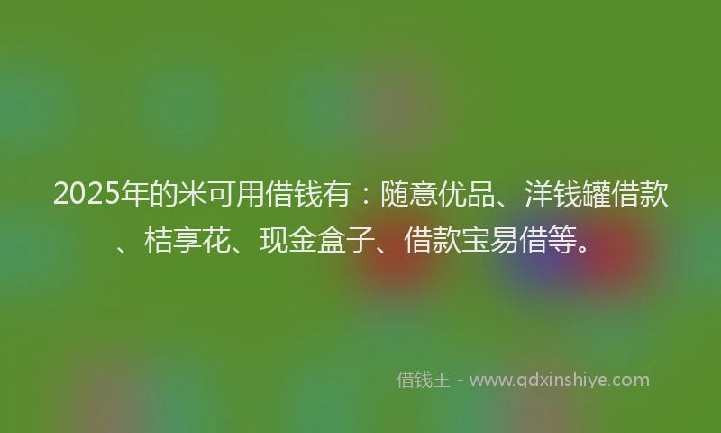 2025年的米可用借钱有：随意优品、洋钱罐借款、桔享花、现金盒子、借款宝易借等。