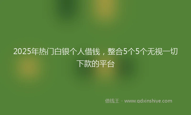 2025年热门白银个人借钱，整合5个5个无视一切下款的平台