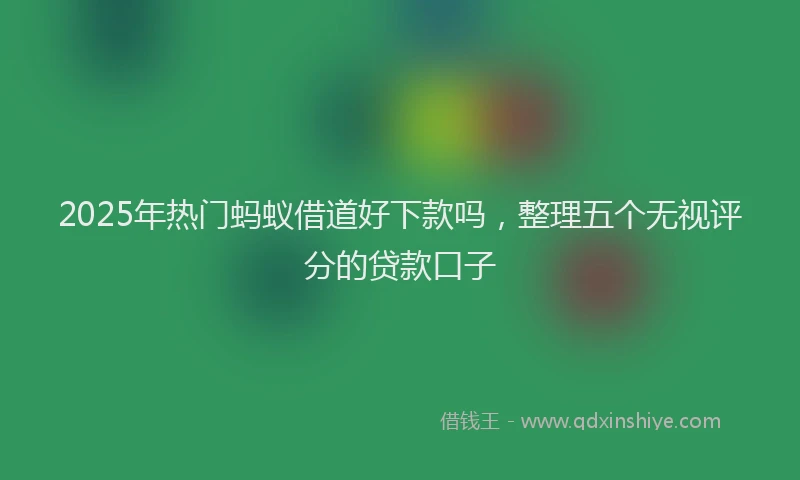 2025年热门蚂蚁借道好下款吗，整理五个无视评分的贷款口子