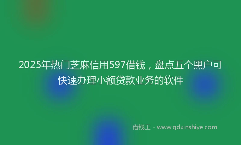 2025年热门芝麻信用597借钱，盘点五个黑户可快速办理小额贷款业务的软件